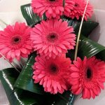 Ramo de 6 Gerberas