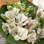 RAMO DE NOVIA DE ALSTROEMERIAS PARA TIRAR