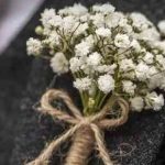 BOUTONIER DE GYPSHOPILAS